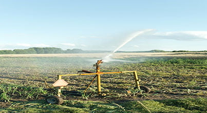 agriculture